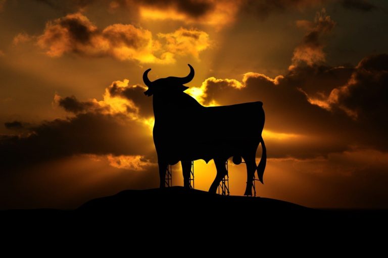 OmiseGO (OMG) en DigiByte (DGB) koersen schieten omhoog met meer dan 15 procent