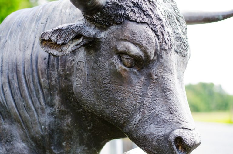 Analist gelooft dat volgende bull run de Bitcoin naar koers van $150k zal brengen