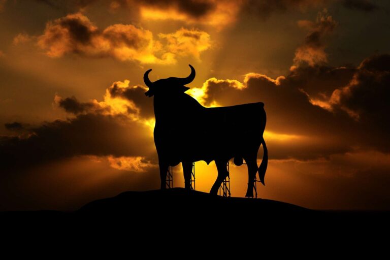 Bitcoin ETF gaat voor een nieuwe bull run zorgen in 2024