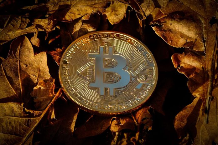 10 Populairste crypto’s van 8 maart 2024 zijn Bitcoin, FLOKI, SHIB, Bonk, PEPE, XRP en…
