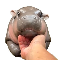 Moo Deng MOODENG kopen met iDEAL